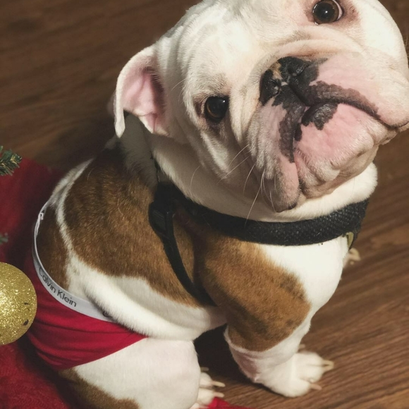 Meet your Posher, Gisela - Picture 6 of 8